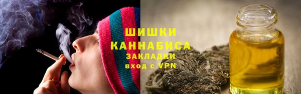 спиды Лагань