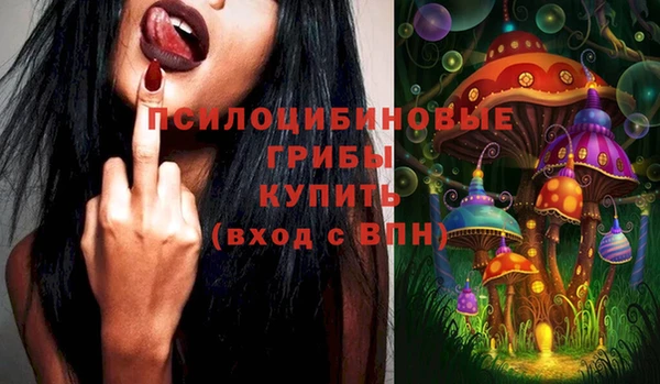 спиды Лагань
