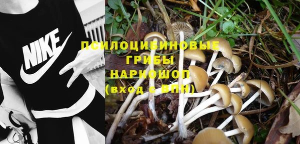 амф Лабытнанги