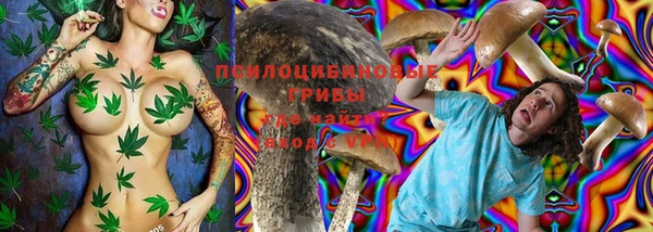 jwh Ладушкин