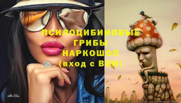 амф Лабытнанги