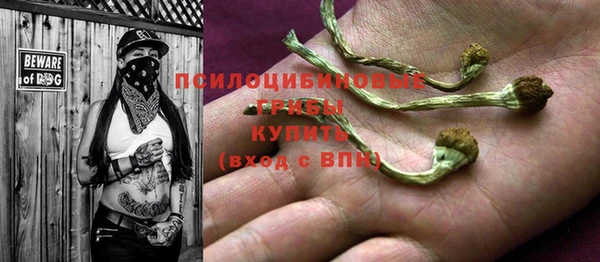 спиды Лагань