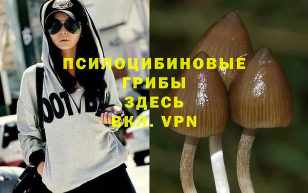 jwh Ладушкин