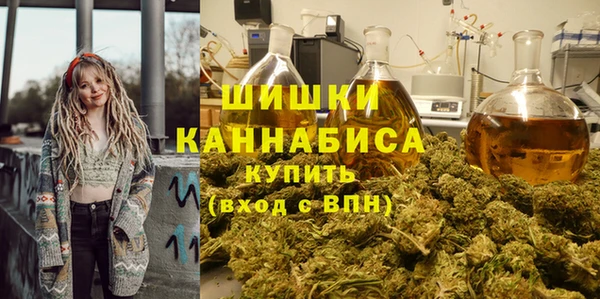 амф Лабытнанги