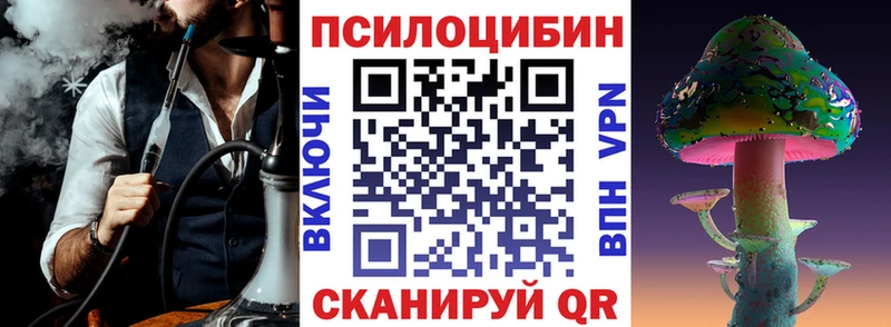 Купить  Приозерск  Галлюциногенные грибы Psilocybine cubensis 