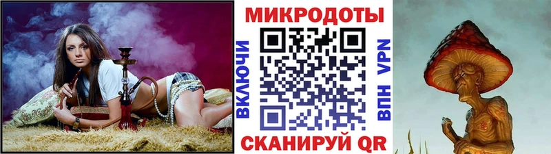 Галлюциногенные грибы Psilocybine cubensis Приозерск