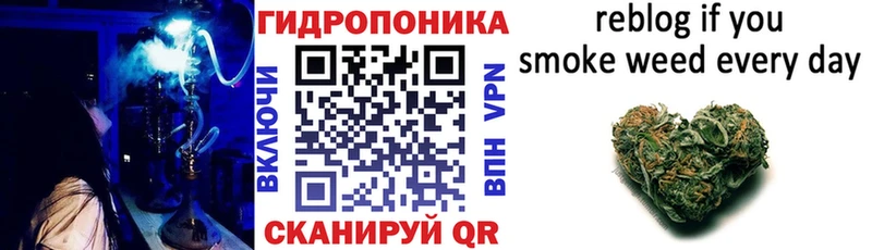 Купить закладки  Приозерск  Шишки марихуана MAZAR 